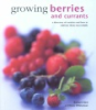 Growing_berries_and_currants