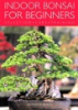Indoor_bonsai_for_beginners