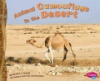 Animal_camouflage_in_the_desert
