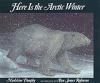 Here_is_the_Arctic_winter