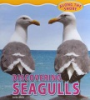 Discovering_seagulls