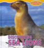 Discovering_sea_lions