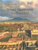 What_happened_to_Pompeii_