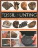 Fossil_hunting