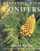 Gardening_with_conifers