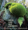 Ledge_lake_leaf_labyrinth