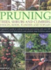 Pruning
