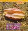 Discovering_clams