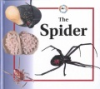 The_spider
