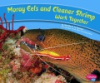 Moray_eels_and_cleaner_shrimp_work_together