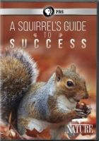 A_squirrel_s_guide_to_success
