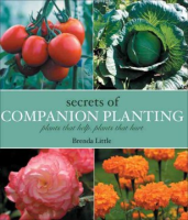 Secrets_of_companion_planting