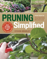 Pruning_simplified