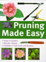 Pruning_made_easy