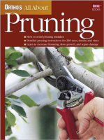 Ortho_s_all_about_pruning