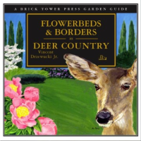 Flowerbeds_and_borders_in_Deer_country_for_the_home_and_garden