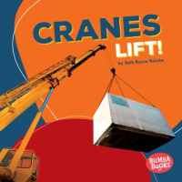 Cranes_lift_