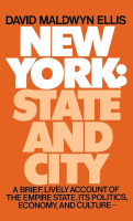 A_history_of_New_York_State